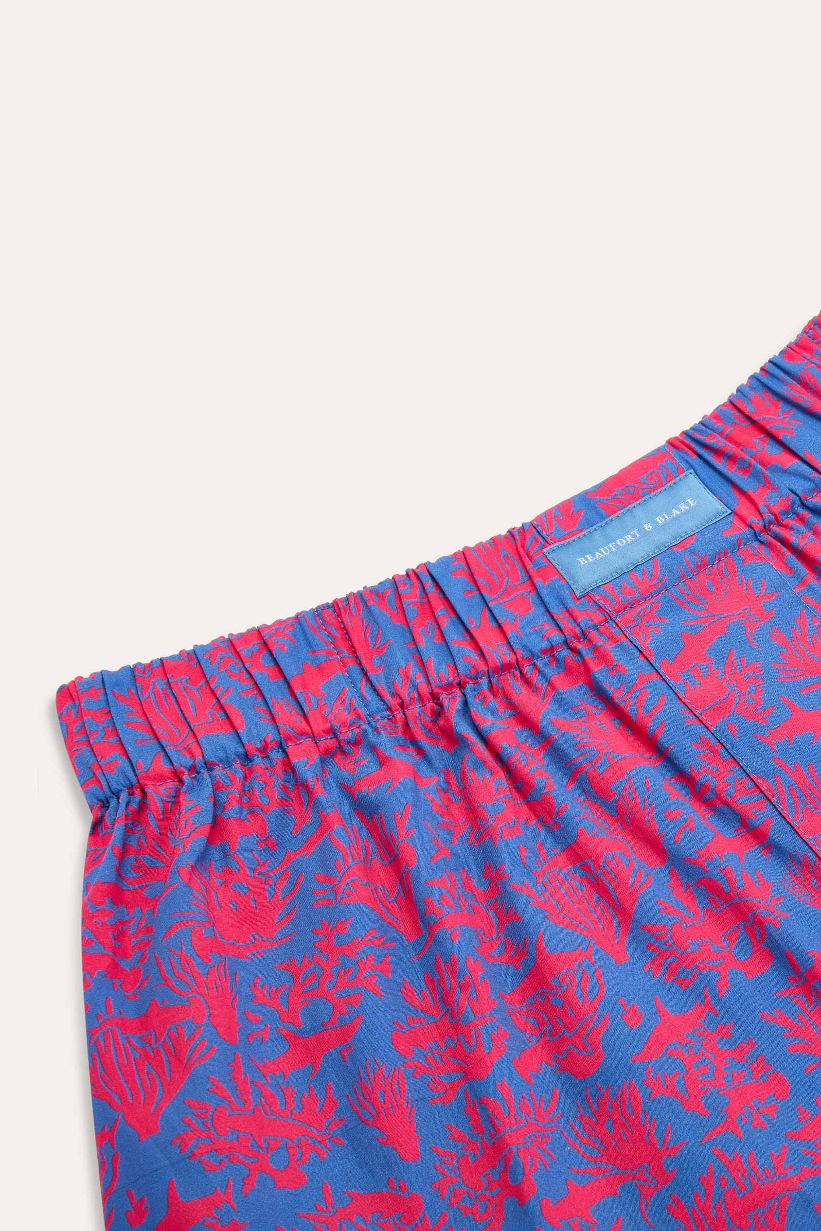 Hammerhead Reef Boxer - Image 2